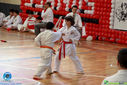 IMG_3977.jpg