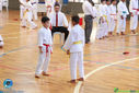 IMG_3991.jpg