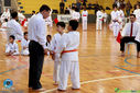 Filename=IMG_3998.jpg
Filesize=155KiB
Dimensions=790x527
Date added=Aug 01, 2017 IMG_3998.jpg