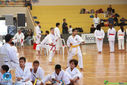 IMG_4006.jpg