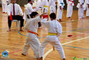Filename=IMG_4009.jpg
Filesize=135KiB
Dimensions=790x527
Date added=Aug 01, 2017 IMG_4009.jpg