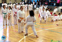 IMG_4019.jpg