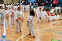 IMG_4020.jpg