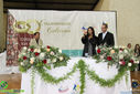 Filename=IMG_8431.jpg
Filesize=195KiB
Dimensions=790x527
Date added=Apr 10, 2017 IMG_8431.jpg