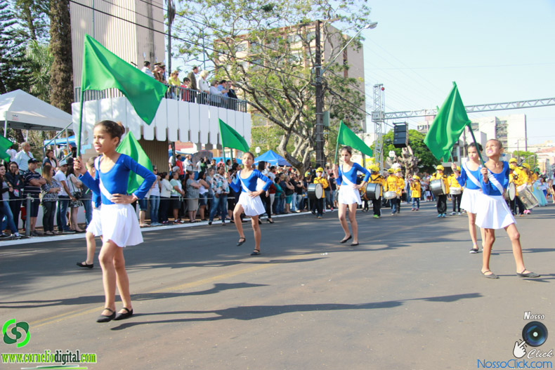 IMG_9343.jpg