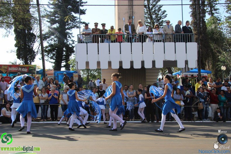 IMG_9411.jpg