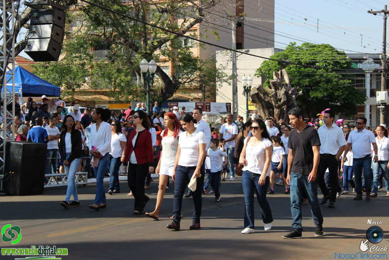 IMG_9415.jpg