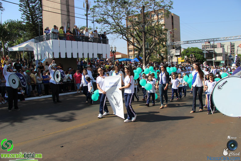 IMG_9521.jpg