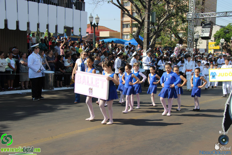 IMG_9536.jpg