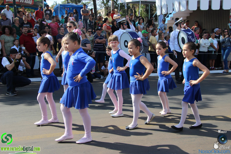 IMG_9537.jpg