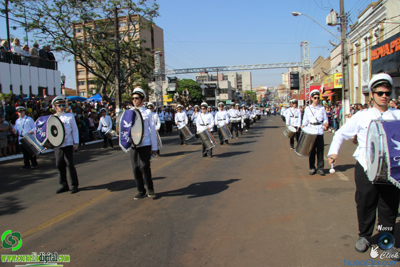 IMG_9573.jpg