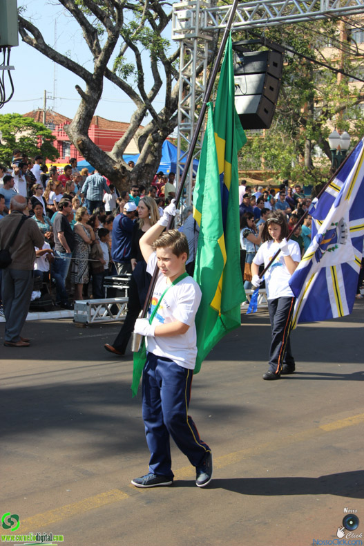 IMG_9600.jpg