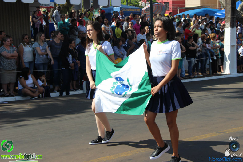 IMG_9619.jpg