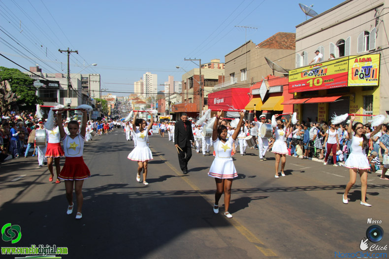 IMG_9772.jpg