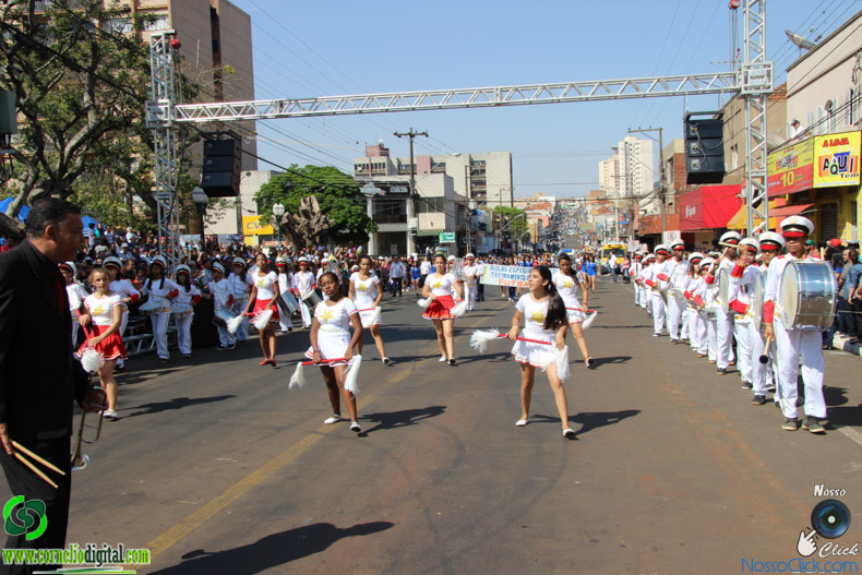 IMG_9774.jpg