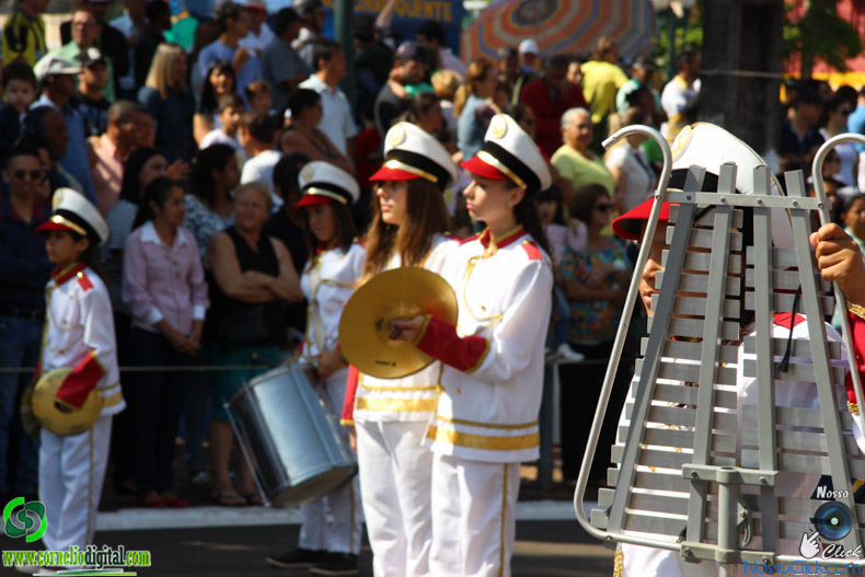 IMG_9801.jpg