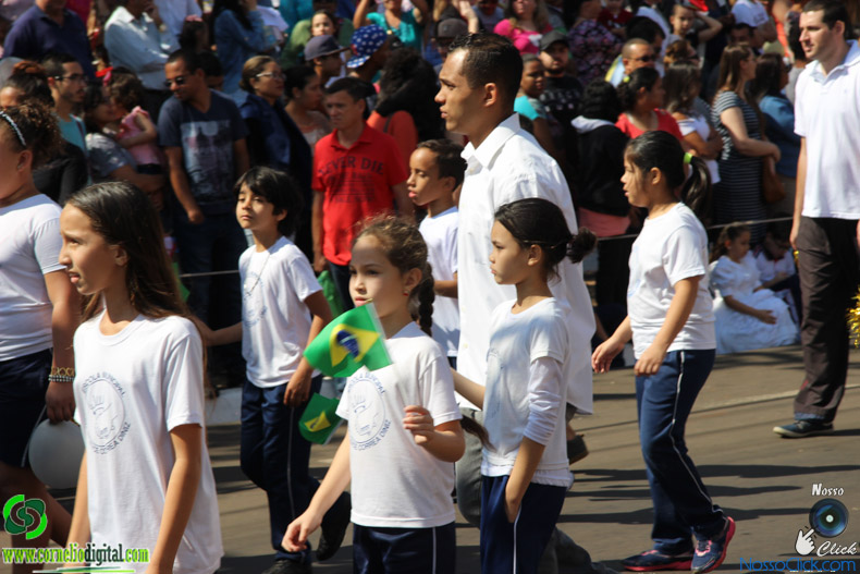 IMG_9826.jpg