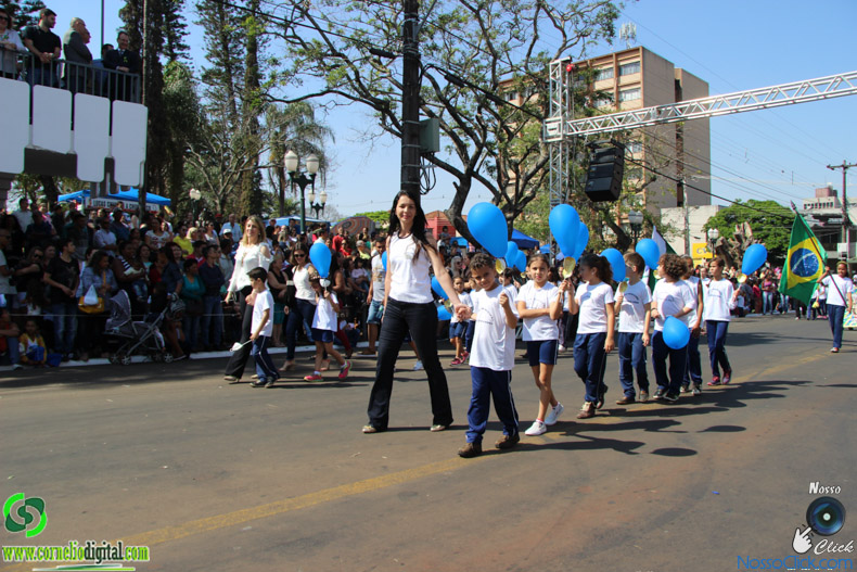 IMG_9850.jpg