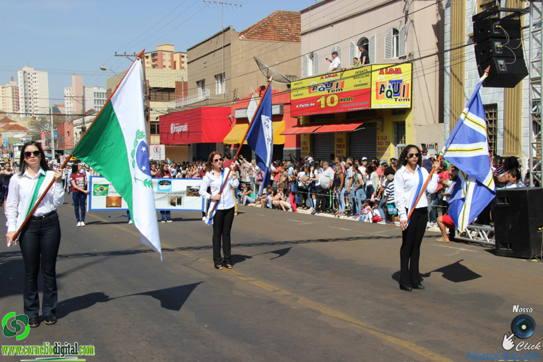 IMG_9890.jpg