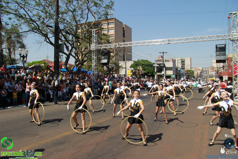 JIMG_0131.jpg