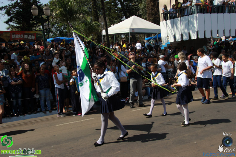 JIMG_0252.jpg