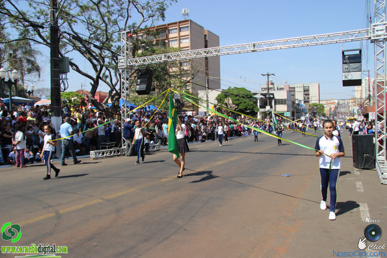 JIMG_0275.jpg