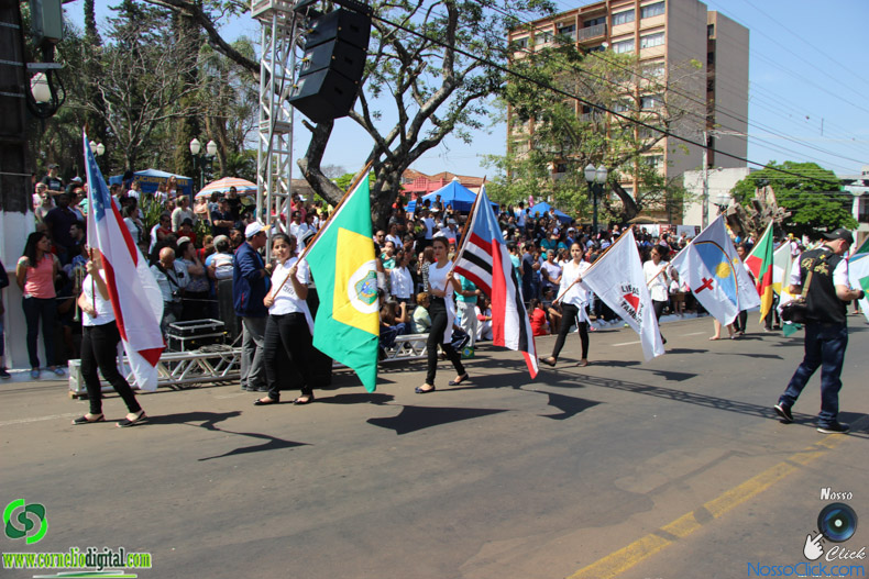 JIMG_0338.jpg