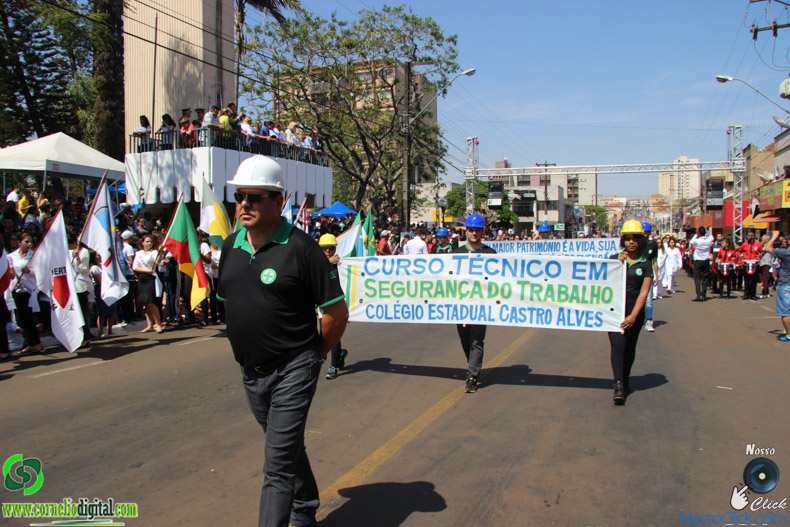 JIMG_0377.jpg