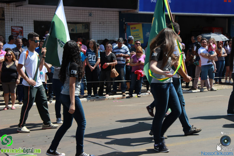 JIMG_0451.jpg