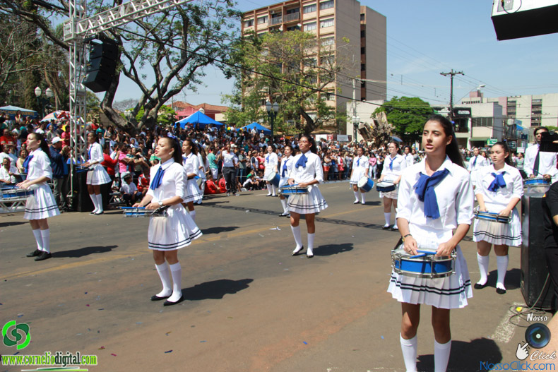 JIMG_0511.jpg