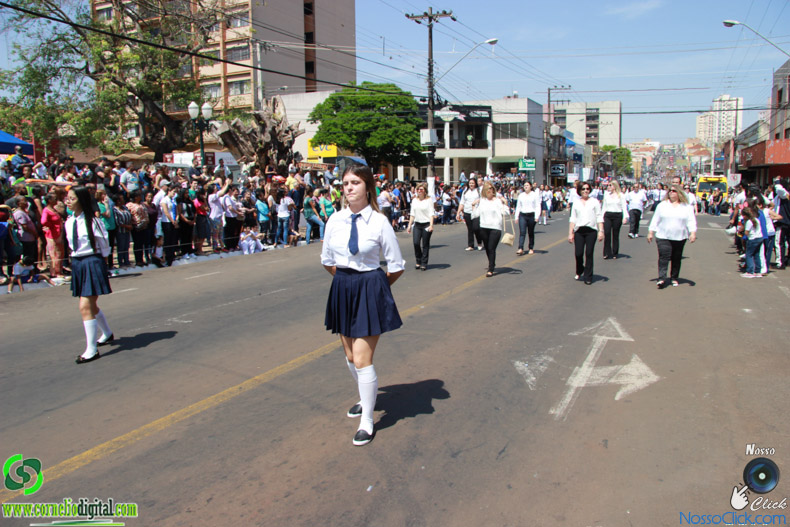 JIMG_0519.jpg