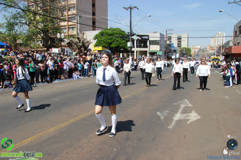 JIMG_0520.jpg