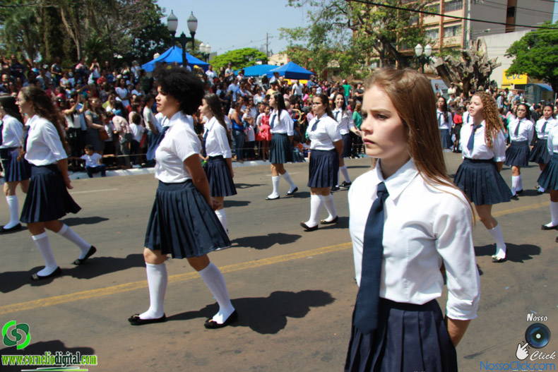 JIMG_0531.jpg
