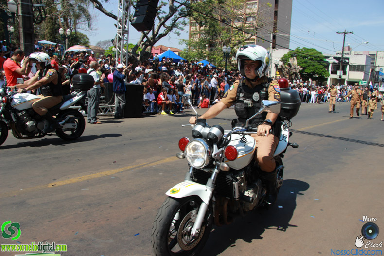 JIMG_0596.jpg
