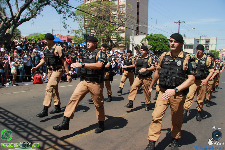 JIMG_0617.jpg
