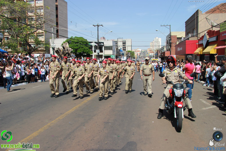 JIMG_0653.jpg
