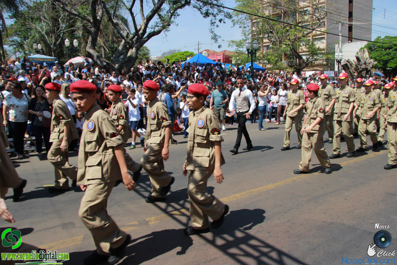 JIMG_0661.jpg
