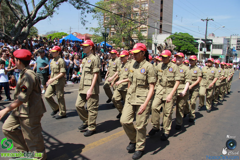 JIMG_0664.jpg