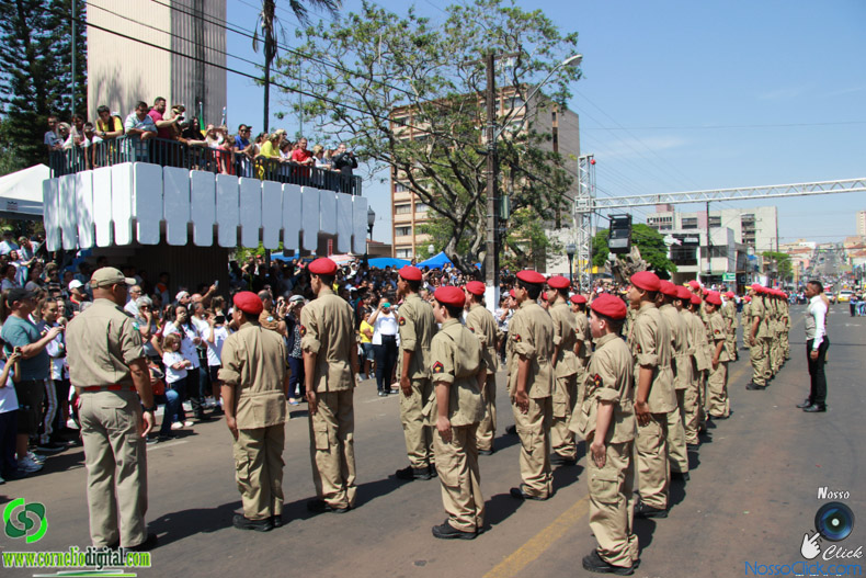 JIMG_0682.jpg