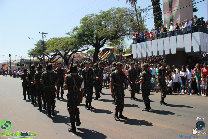 JIMG_0818.jpg