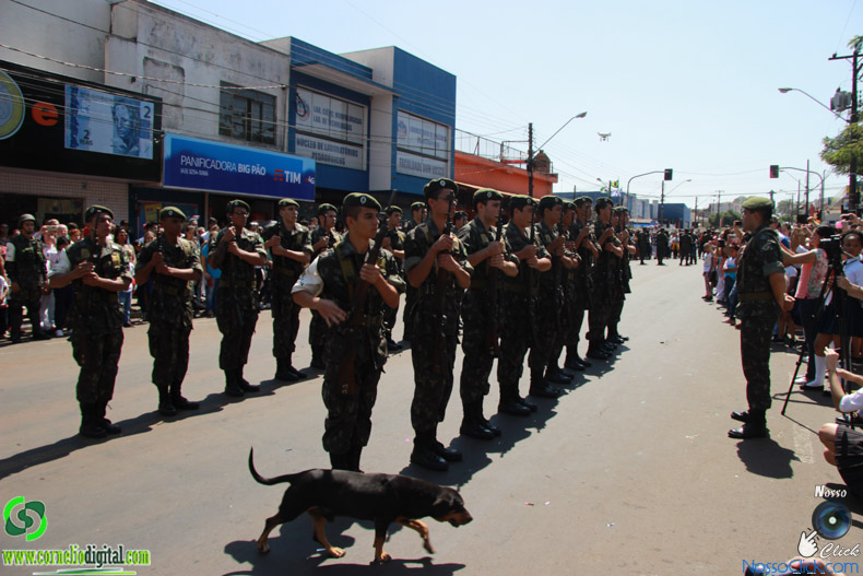 JIMG_0825.jpg
