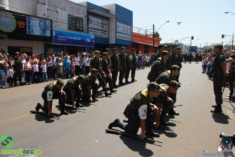 JIMG_0831.jpg
