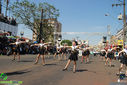 JIMG_0135.jpg