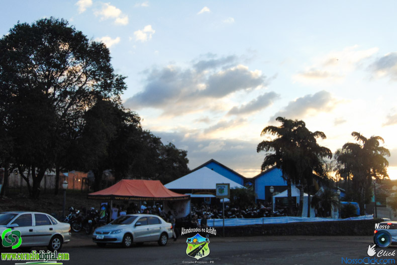 DSC08414.jpg