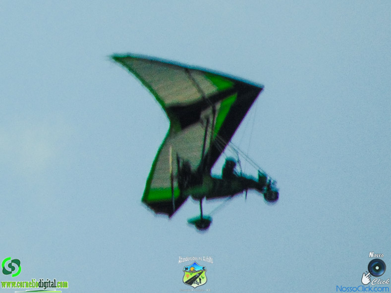 DSC08418.jpg