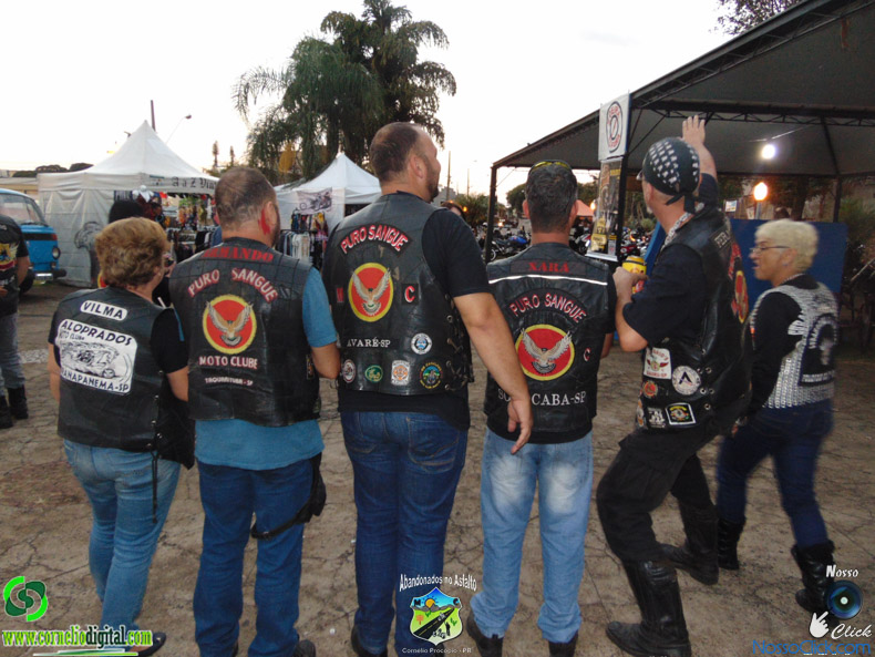 DSC08486.jpg