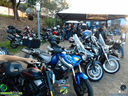 DSC08421.jpg