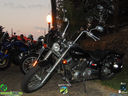 DSC08506.jpg