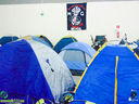 DSC08597.jpg