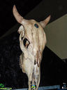 DSC08609.jpg